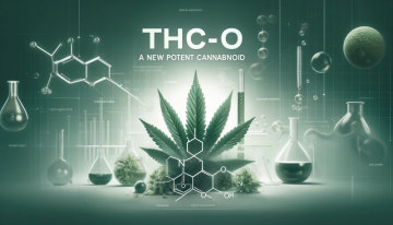 THC-O: Nowy, Potentny Kannabinoid na Rynku