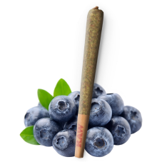 RAW THC9 Blueberry Preroll