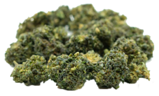 Gelato Popcorn THC-9 40% Small Buds