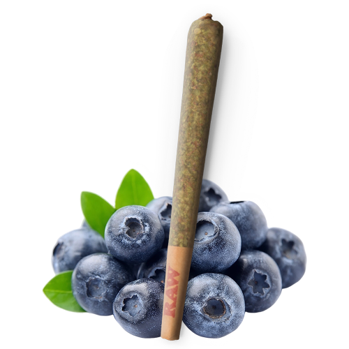 RAW THC9 Blueberry Preroll