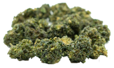 Gelato Popcorn THC-9 40% Small Buds